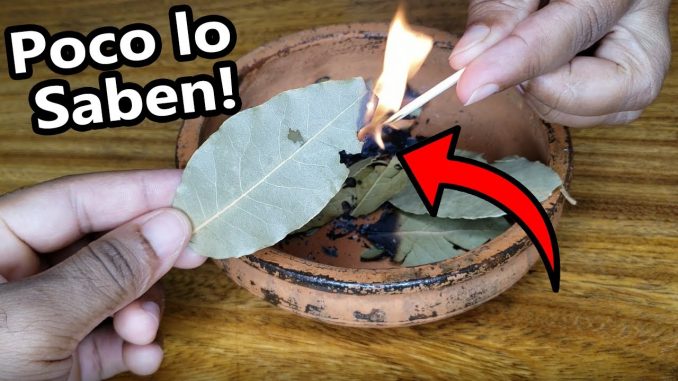 QUEMA LAUREL